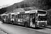 Autobus
